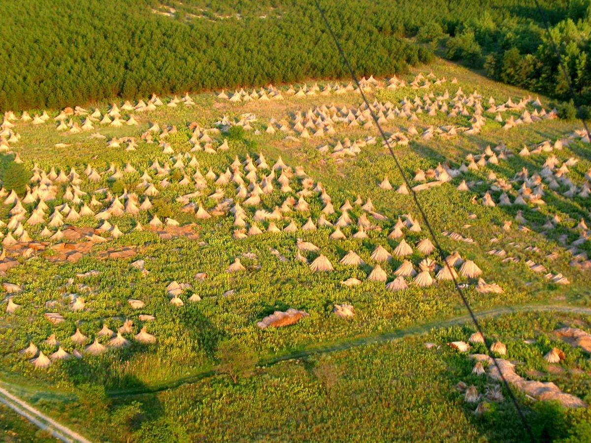 El Bronco Working Ranch Izsak Экстерьер фото
